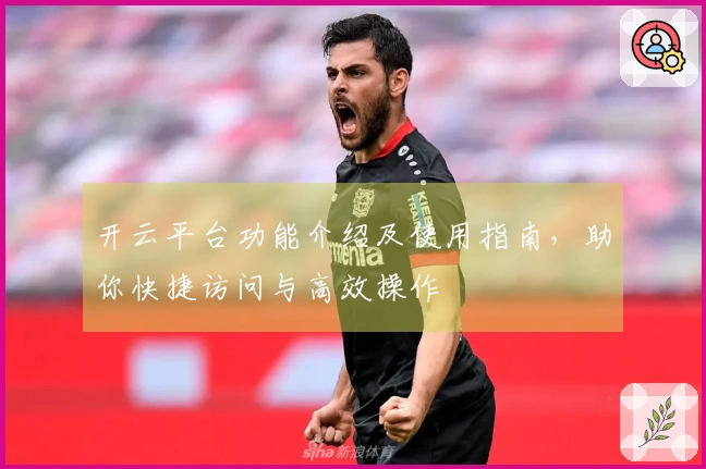 开云平台功能介绍及使用指南,助你快捷访问与高效操作